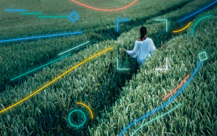 Woman walking through fields